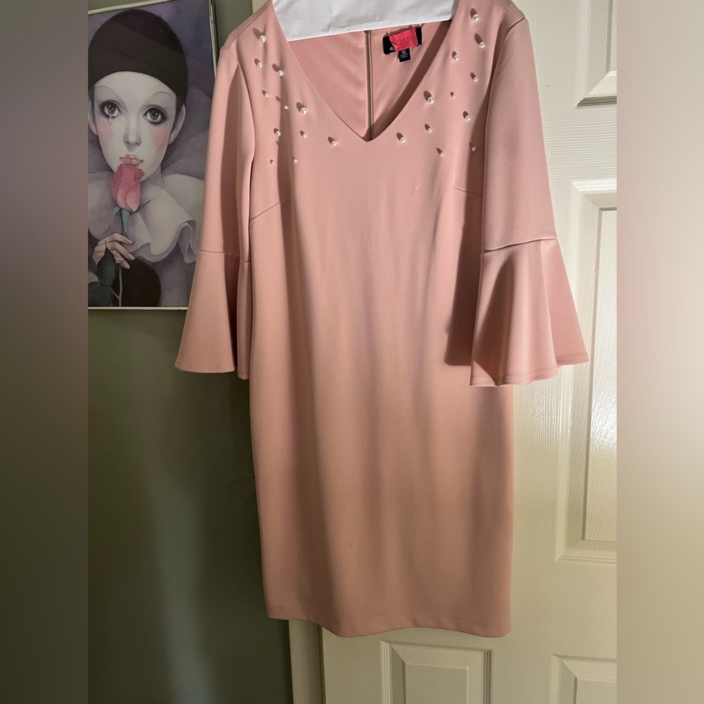 Pale Pink Woman’s Bell Sleeved Dresss